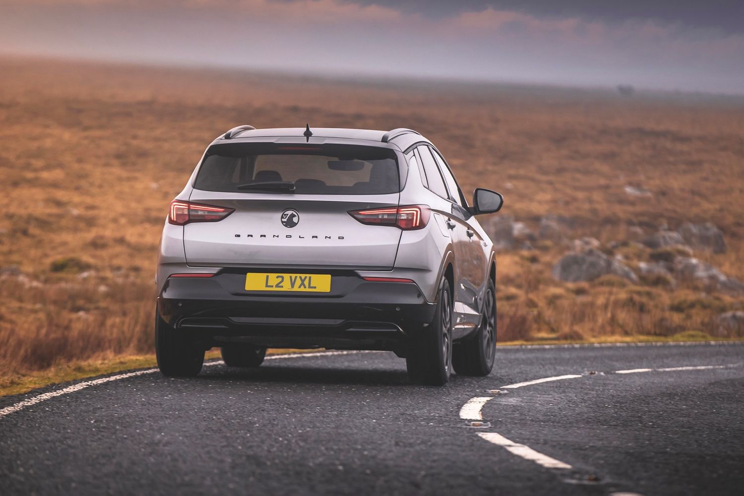 Vauxhall Grandland - rear action